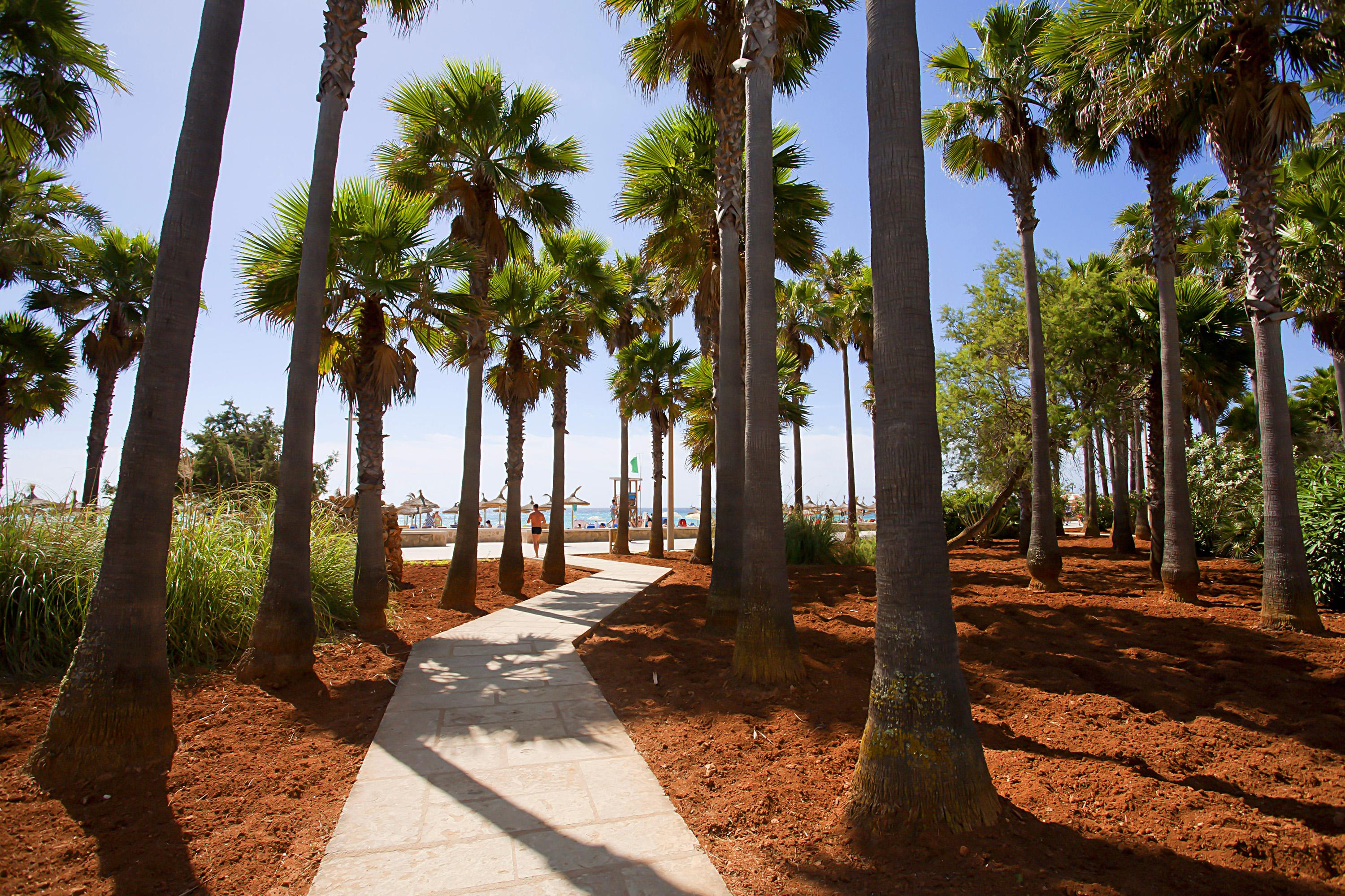 Hipotels Mediterraneo Club Sa Coma  Bagian luar foto